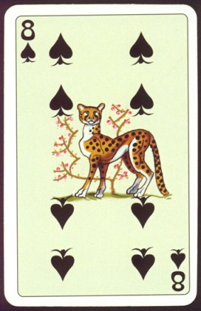 Kashmir_Playing_Cards_Eight_of_Spades