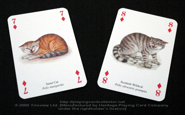 Wild-Cats-Playing-Cards-Diamonds-7-8