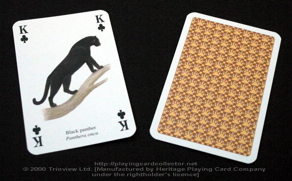 Wild-Cats-Playing-Cards-King-of-Clubs