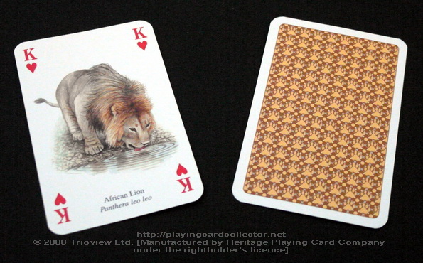 Wild-Cats-Playing-Cards-King-of-Hearts