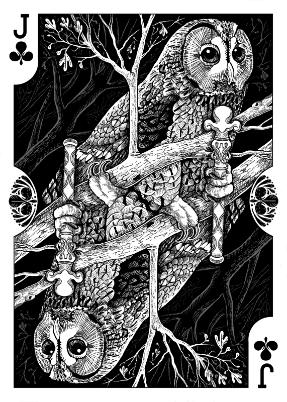 Strigiformes-Owls-Playing-Cards-by-Renee-LeCompte-Jack-of-Clubs