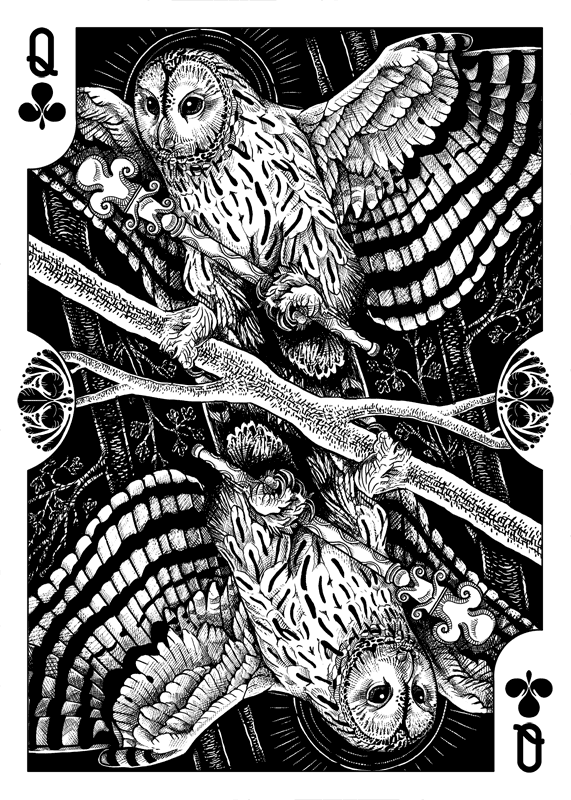 Strigiformes-Owls-Playing-Cards-by-Renee-LeCompte-Queen-of-Clubs