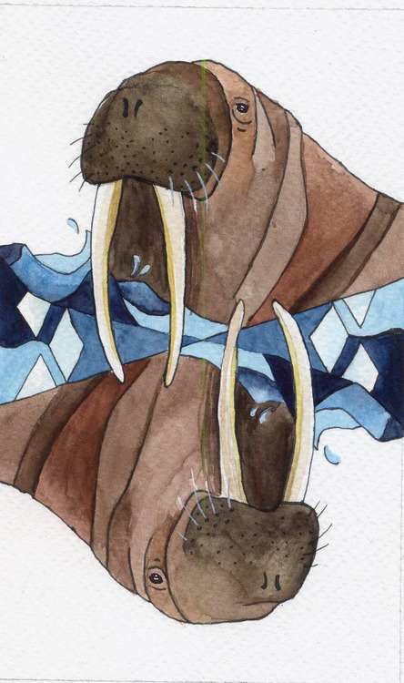 Playing-Cards-by-Timea-Terenyei-King-of-Diamonds