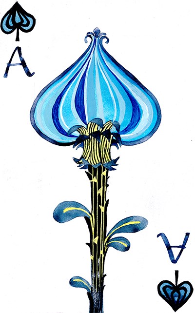 Playing-Cards-by-Monica-Lee-Ace-of-Spades